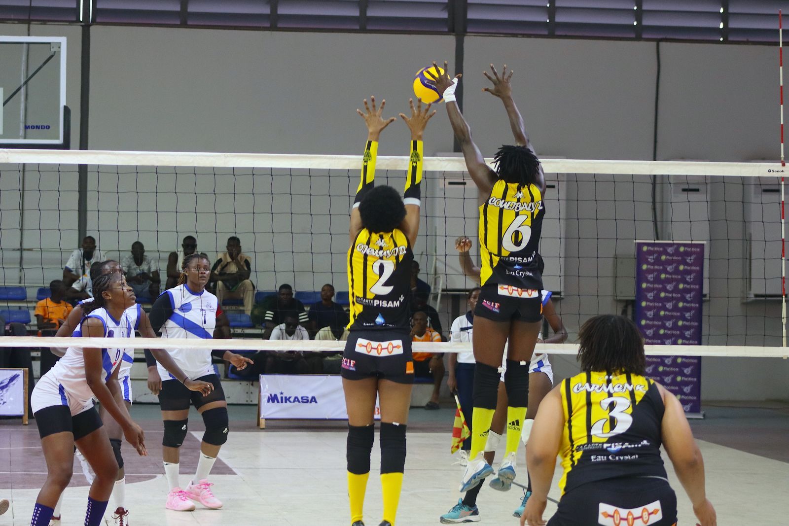 Plastica célèbre l’excellence du volley-ball ivoirien